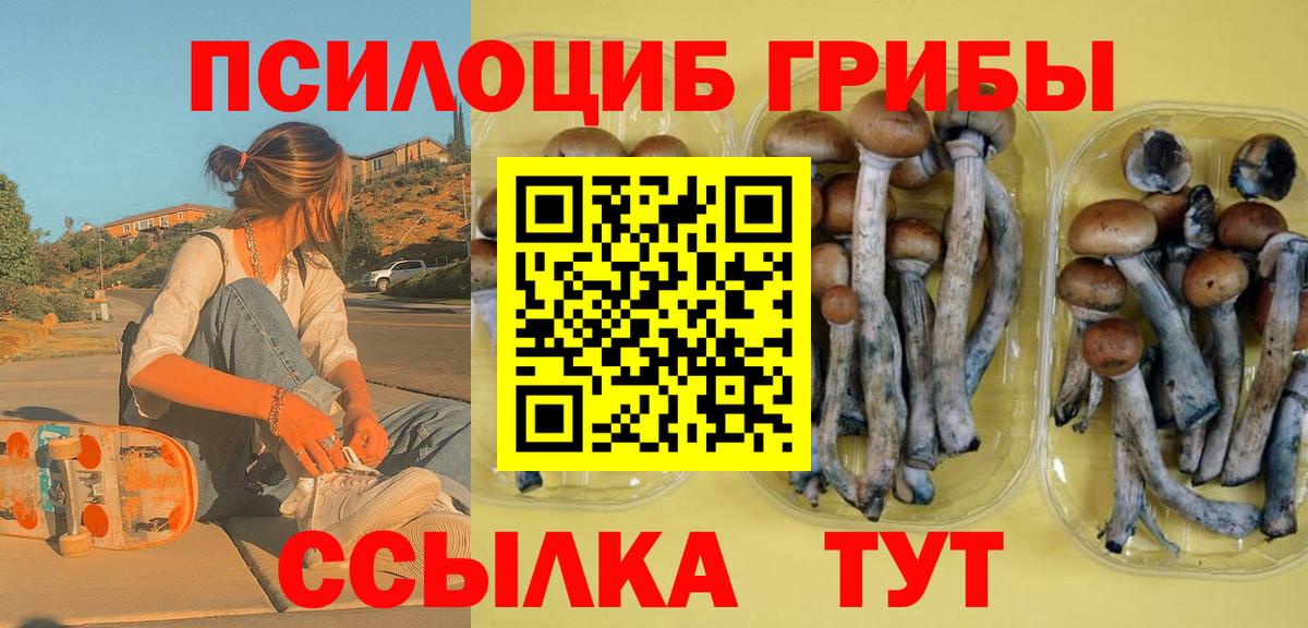 Артём  Галлюциногенные грибы Magic Shrooms  Вход с VPN 