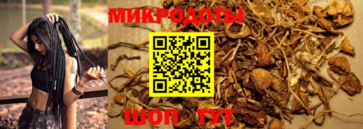 Псилоцибиновые грибы GOLDEN TEACHER Артём